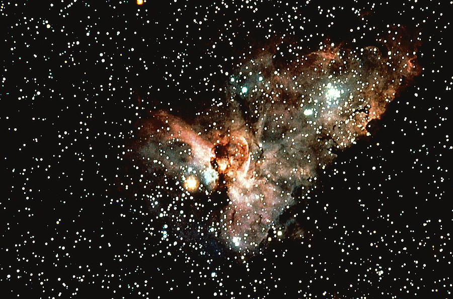 Constellation Photograph by Stocktrek