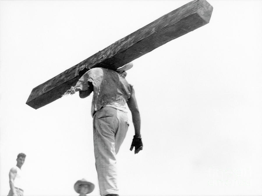 Construction Worker, Mexico City, 1927 Photograph by Tina Modotti