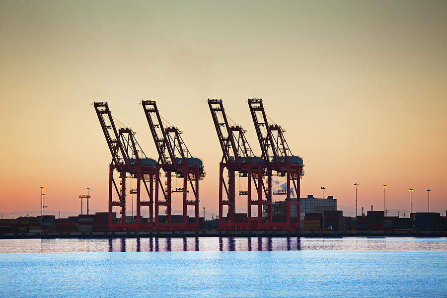 Container Cranes Photograph by Hal Bergman Photography