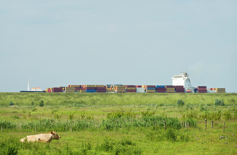 Containers In Shipyard By Rural Field Photograph by Mischa Keijser Containers In Shipyard By Rural Field Photograph by Mischa Keijser