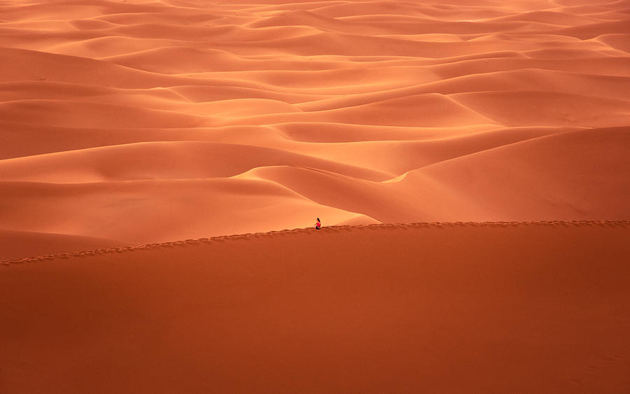 Landscape Photograph - Contemplation Of The Desert by Miroslaw
