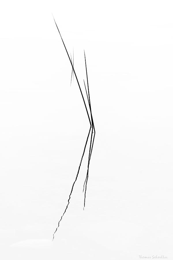 Contemplation by T-S Photo Art Contemplation by T-S Photo Art