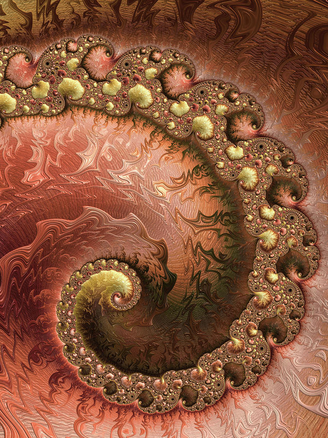 Salmon Digital Art - Contemporary Fractal Spiral copper gold sienna by Matthias Hauser