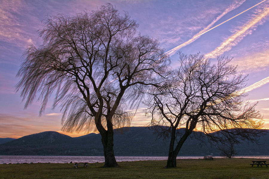Contrails and Tree Silhouettes at Dawn Photograph by Angelo Marcialis