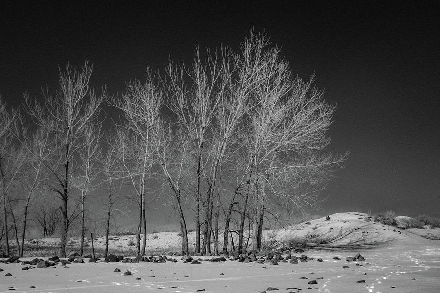 Contrast by Dan Urban Contrast by Dan Urban