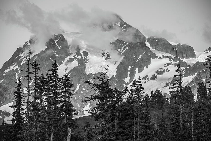 North Cascades National Park Photograph - Contrast by Kristopher Schoenleber