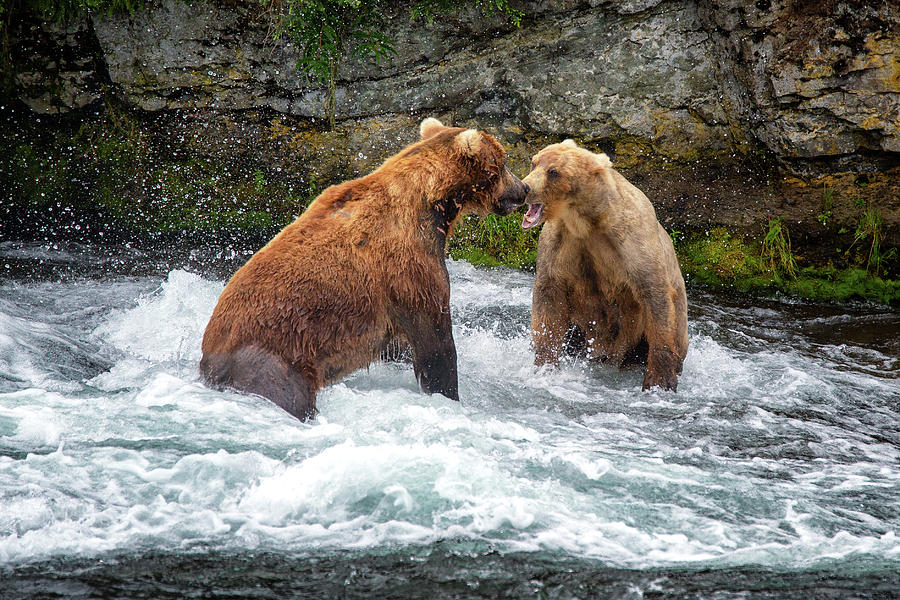 Conversation Photograph by Alex Mironyuk - Fine Art America