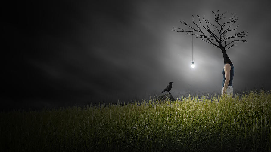 Crow Photograph - Conversation Lumineuse Avec Un Oiseau by David Senechal Photographie (polydactyle)