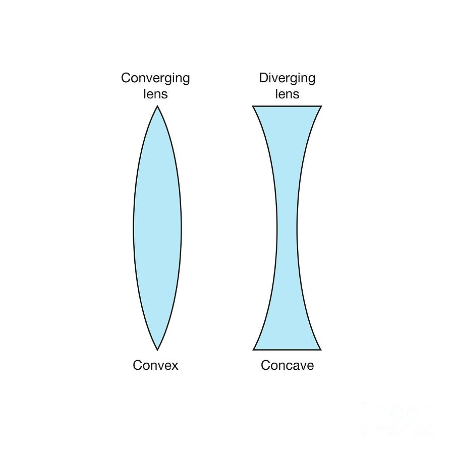 concave vs convex lens