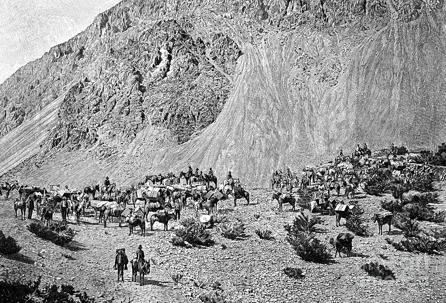 Convoy Of Muleteers At The Foot Drawing by Print Collector
