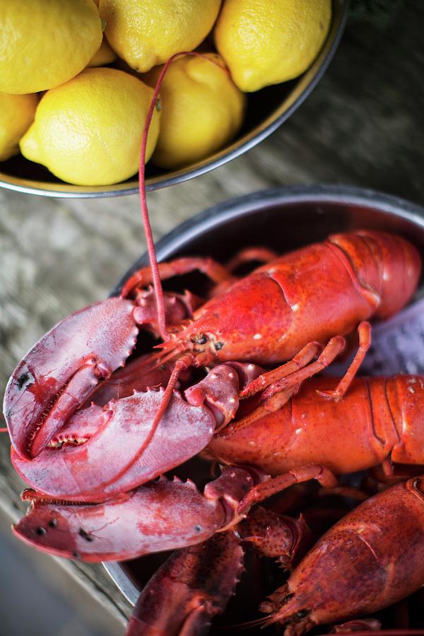 Cooked Lobster With Lemons Photograph by Helen Cathcart