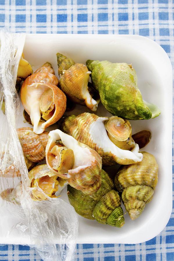 Fish Photograph - Cooked Whelks In A Styrofoam Container On A Blue And White Checked Surface by Watson, Jamie