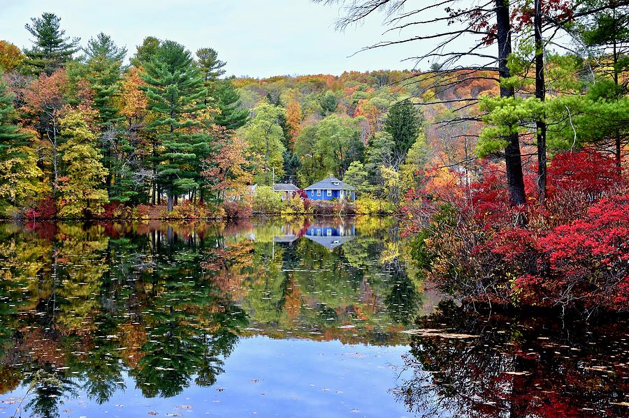 Cooks Pond in Autumn Photograph by Monika Salvan