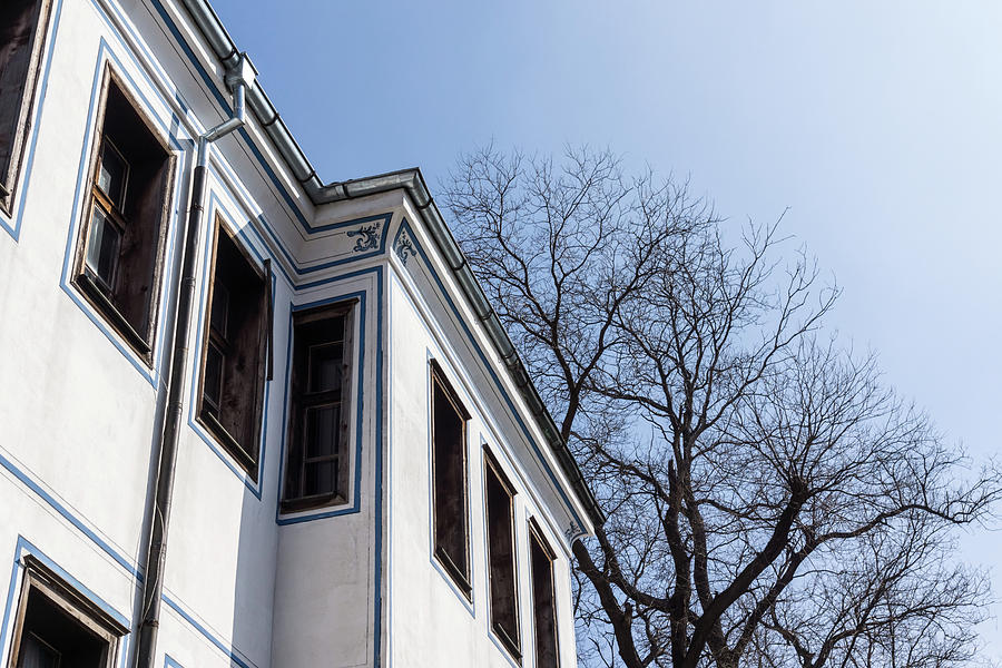 Cool Blue Sunshine - Elegant Oriel Windows and Bare Branches in Old Town Plovdiv Photograph by Georgia Mizuleva