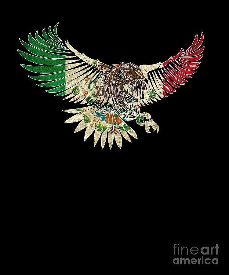 Flying Eagle Vintage Mexican Design Mexican Flag Design For Mexican Pride Outline Digital Art By Funny4you