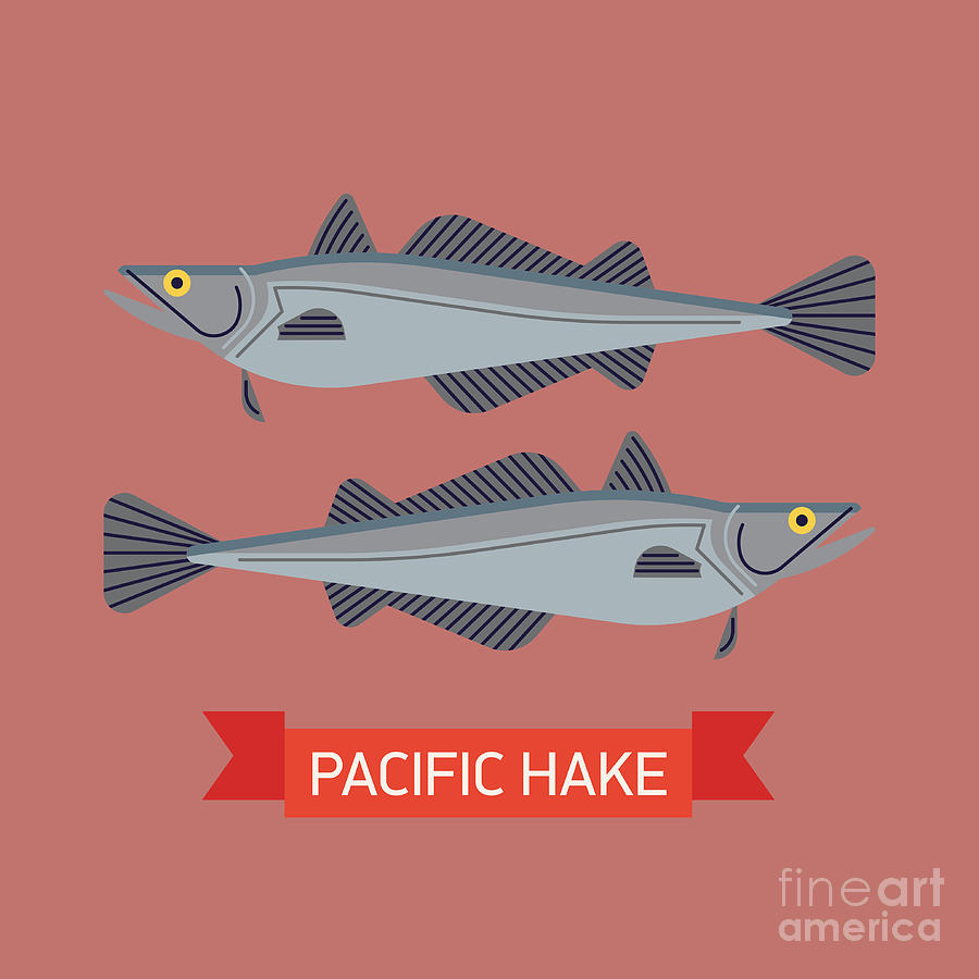 Symbol Digital Art - Cool Vector Pacific Hake Fish by Mascha Tace Symbol Digital Art - Cool Vector Pacific Hake Fish by Mascha Tace