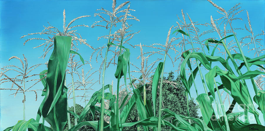 Cooley's Corn by D A Brown Cooley's Corn by D A Brown