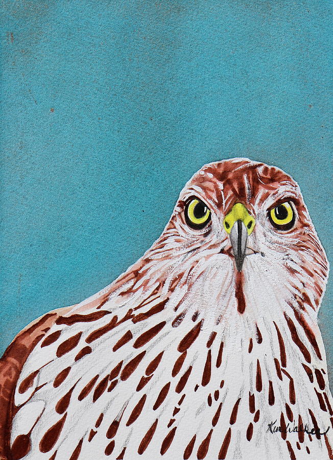 Coopers Hawk Watercolor Painting by Kimberly Walker