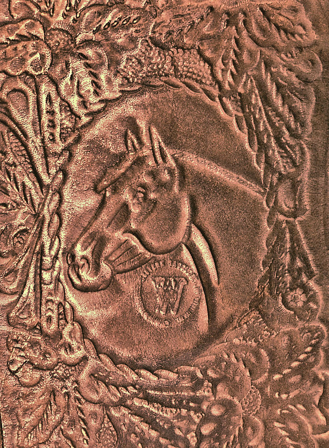 Copper Colt Leather Photograph by Dressage Design