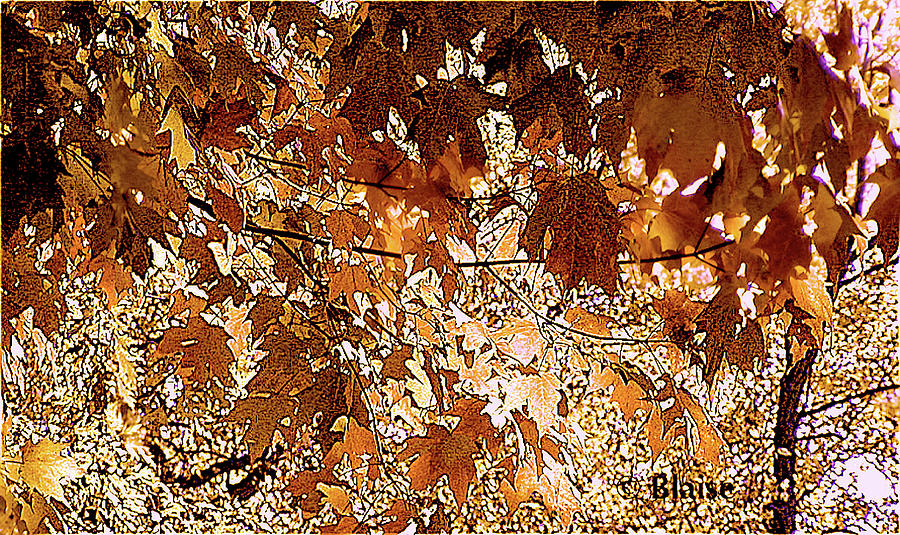 Copper Reflections by Yvonne Blasy Copper Reflections by Yvonne Blasy