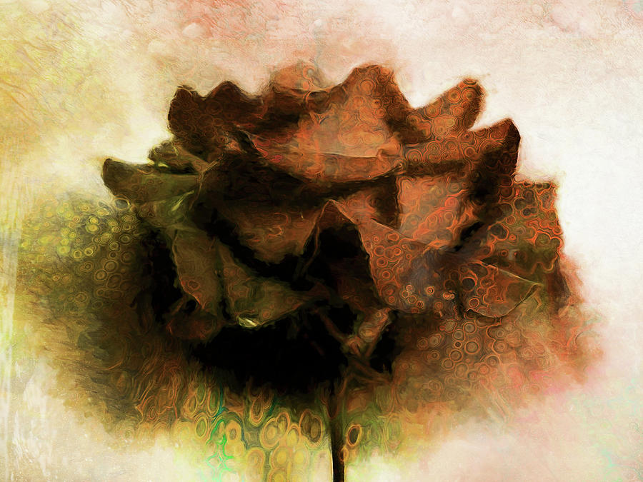 Copper Rose Photograph by DonaRose