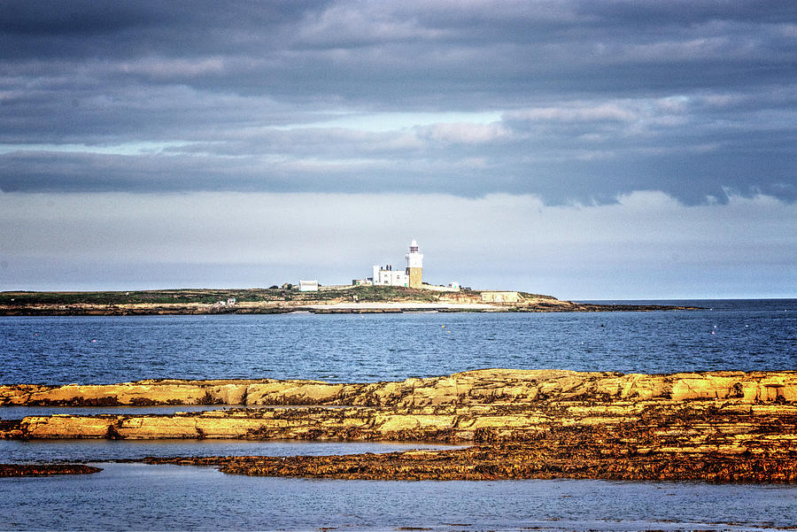 Coquet Island Photograph by Jeff Townsend