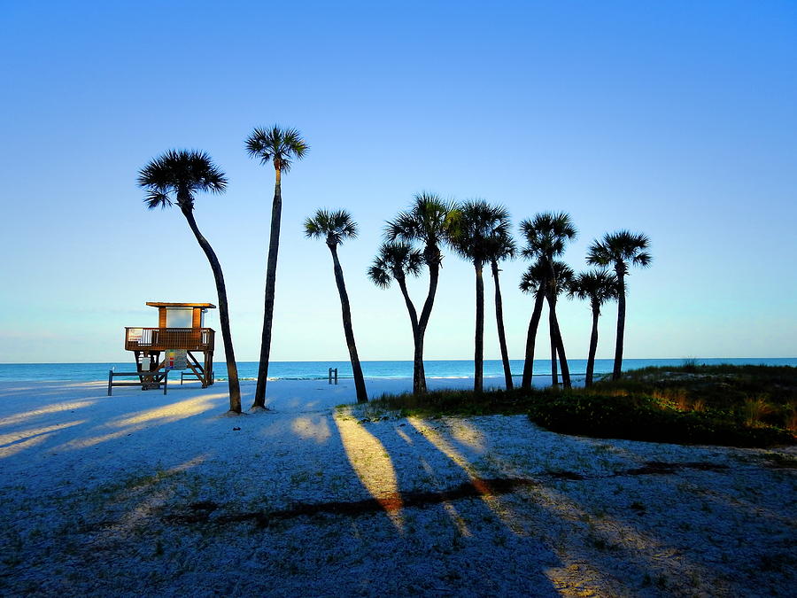 Beach Photograph - Coquina Palms by Robert Stanhope