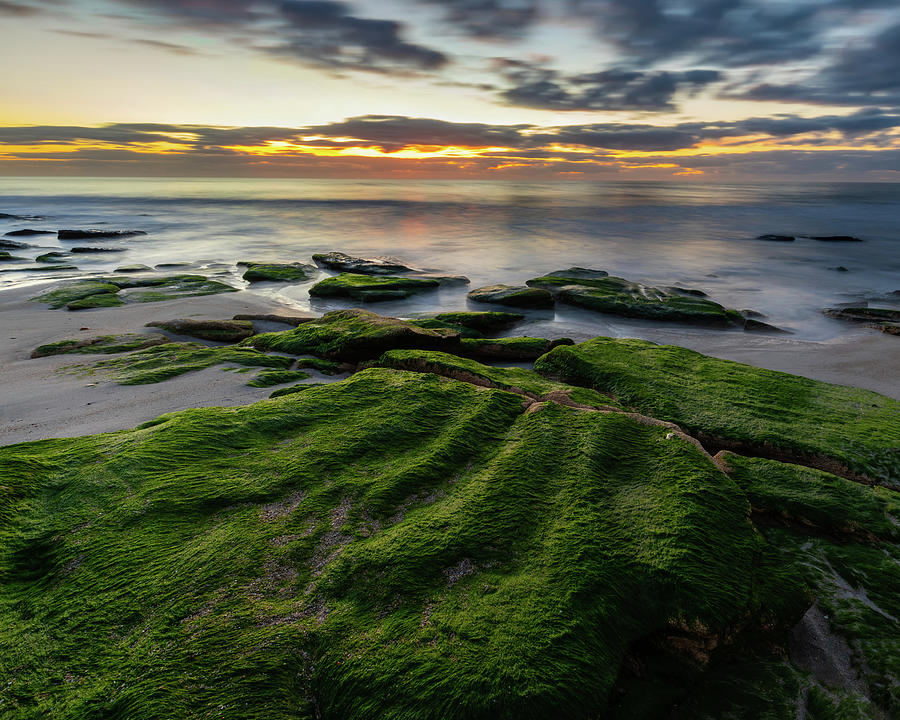 Coquina Rock Sunrise Photograph by Kate LeCates - Fine Art America