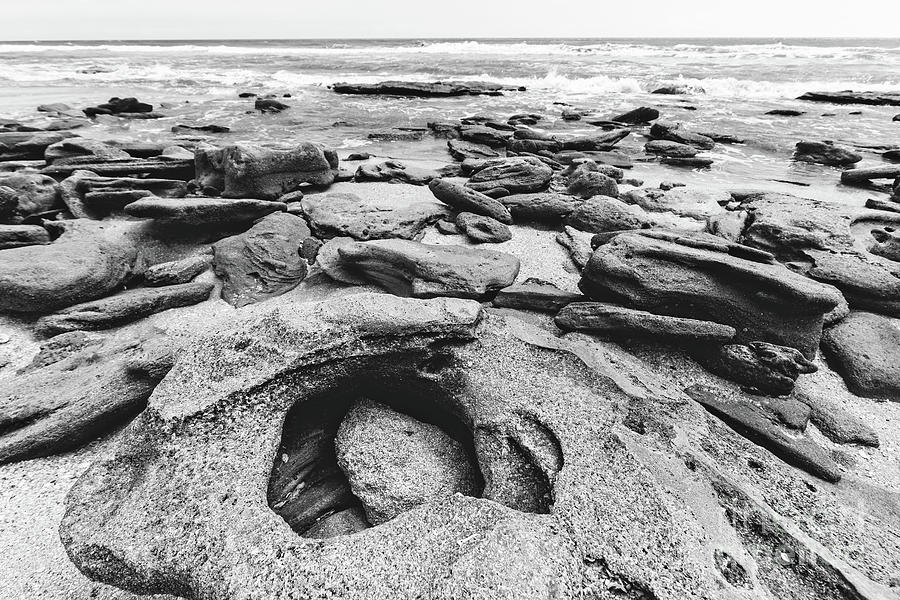 Coquina Rocks In Bw Photograph