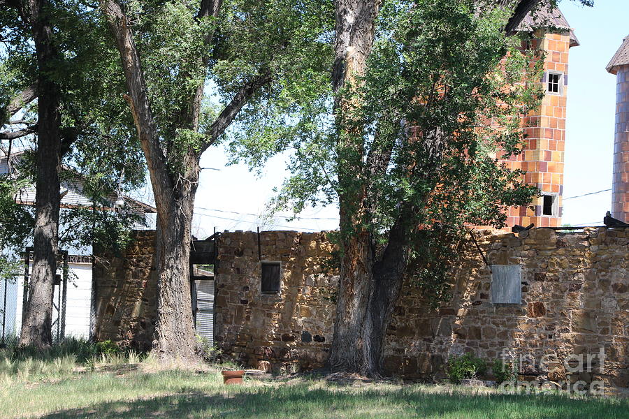 Coral at Fort Stanton New Mexico Photograph by Colleen Cornelius