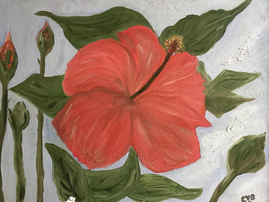 Coral colored Hibiscus Painting by Clare Ventura