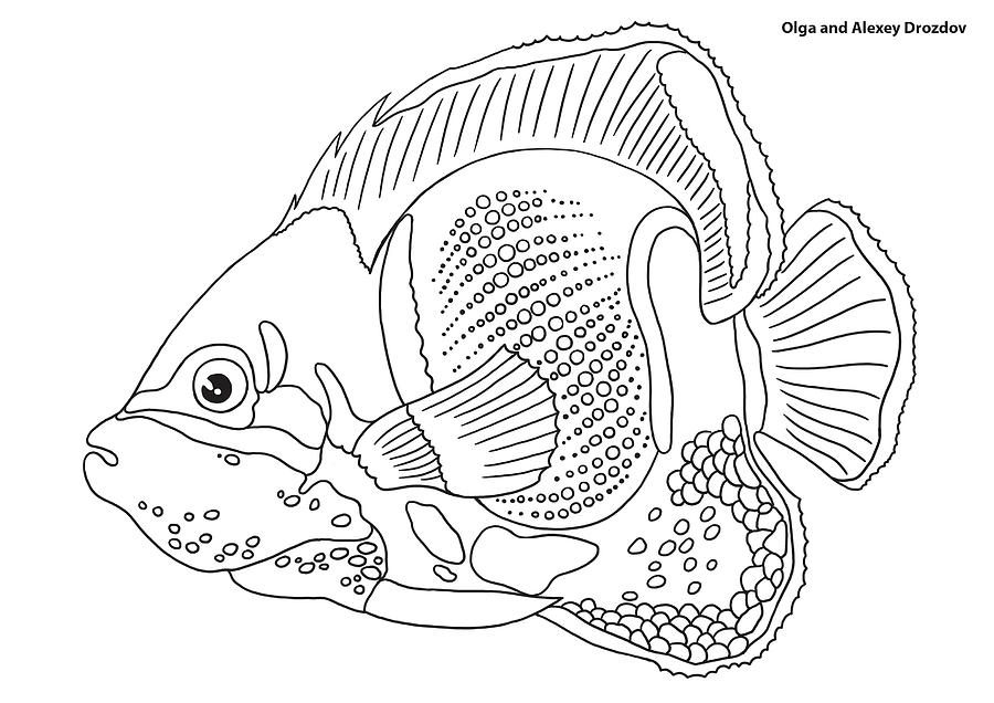 Stamp Digital Art - Coral Fish 10 by Olga And Alexey Drozdov