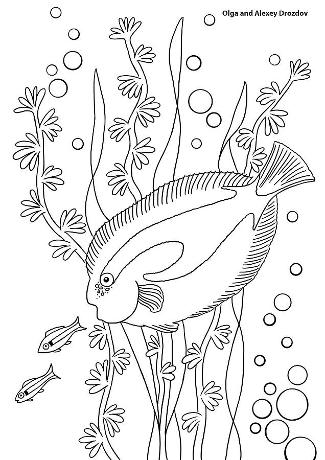 Stamp Digital Art - Coral Fish 9 by Olga And Alexey Drozdov