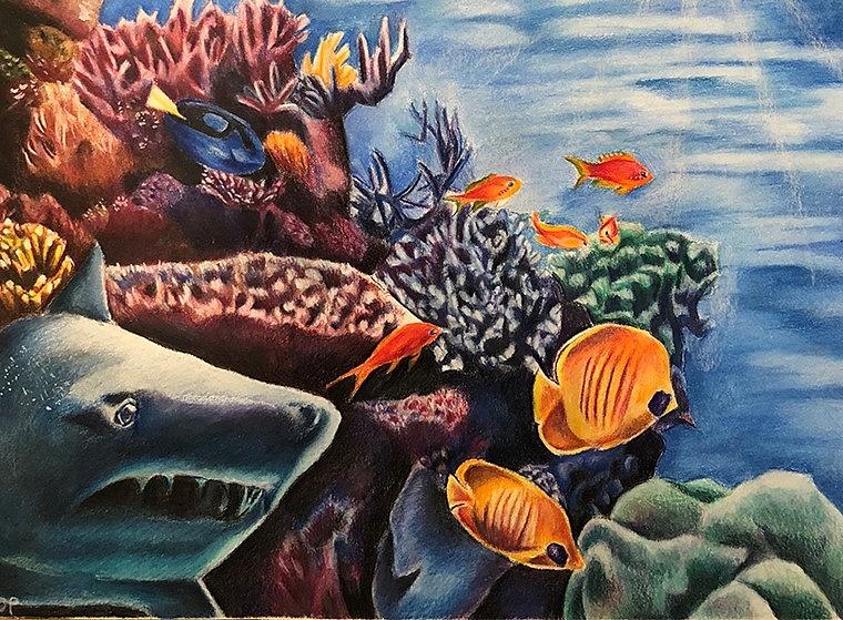 Coral Reef is a drawing by Dina Sorrenti which was uploaded on November 24t...