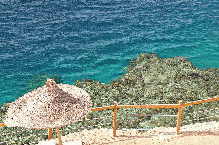 Coral Reef In Red Sea Photograph by Clagge Coral Reef In Red Sea Photograph by Clagge