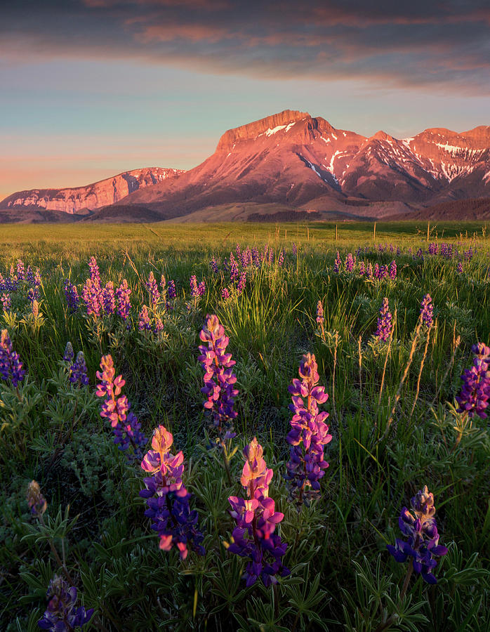 Coral Sunrise / Augusta, Montana by Nicholas Parker Coral Sunrise / Augusta, Montana by Nicholas Parker