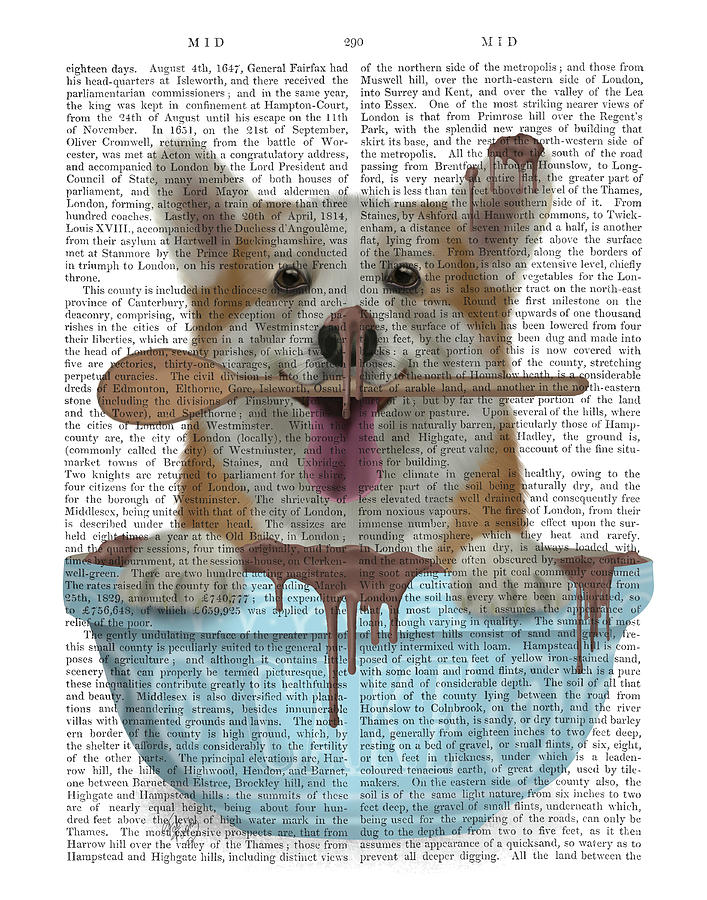 Dog Painting - Corgi Cake Bowl Book Print by Fab Funky