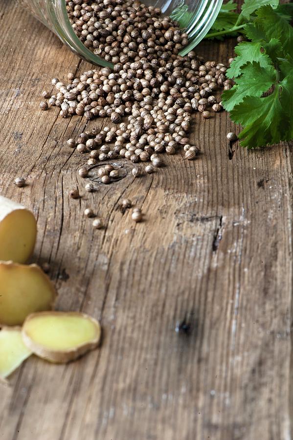 Coriander Seeds On A Wooden Surface With Fresh Sliced Ginger And Coriander Leaves Photograph by Magdalena Hendey