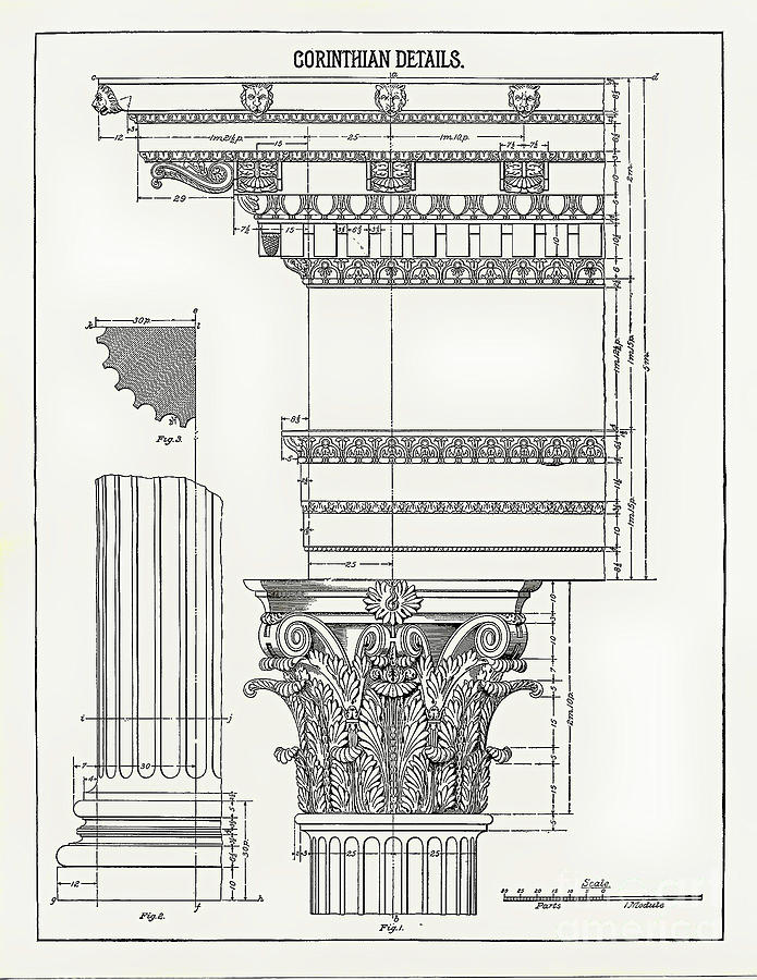 Corinthian Architecture by James Fannin Corinthian Architecture by James Fannin
