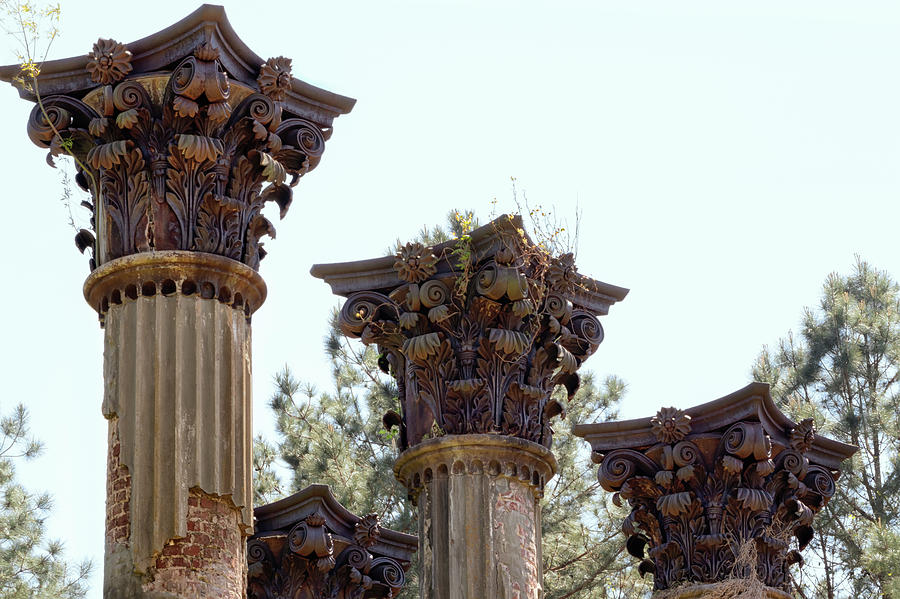 Architecture Photograph - Corinthian Column Capitals at Windsor Ruins by Susan Rissi Tregoning