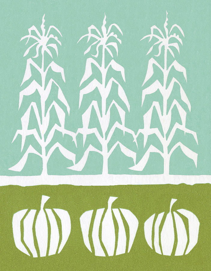 Fall Drawing - Corn and Pumpkins by CSA Images