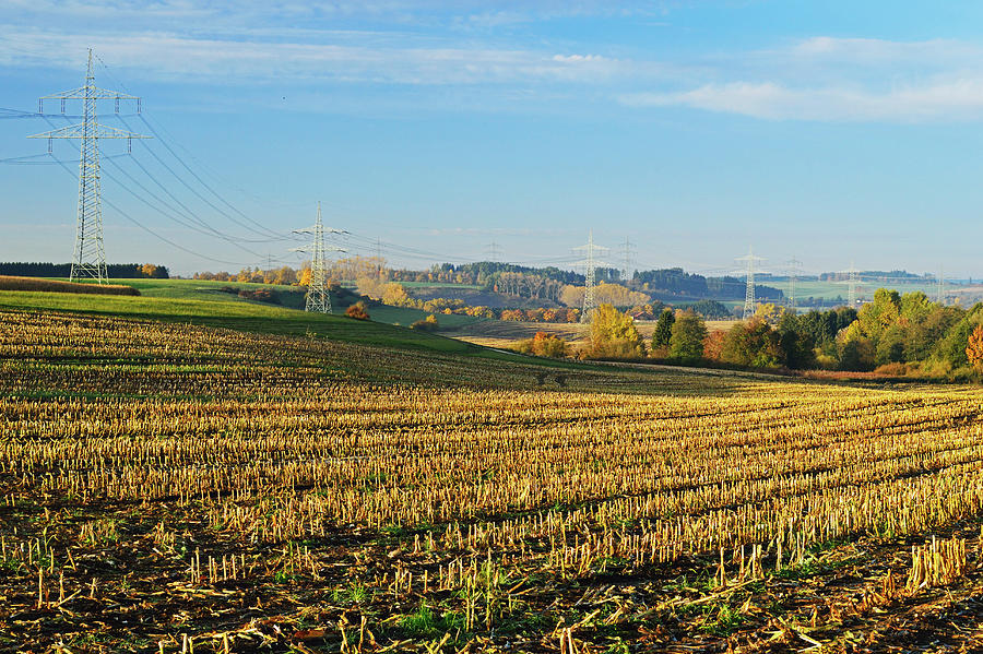 Corn Field And Power Lines Photograph by Jochen Schlenker