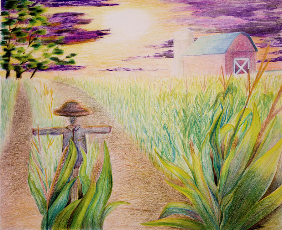 Corn Field Drawing by Michael Lyons Pixels