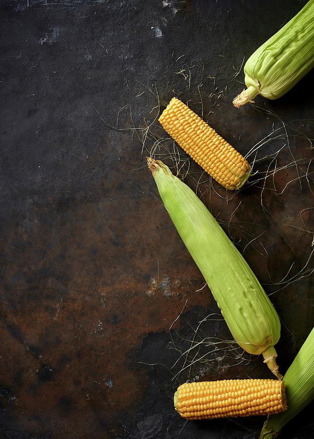 Corn On A Metal Background Photograph by Great Stock!