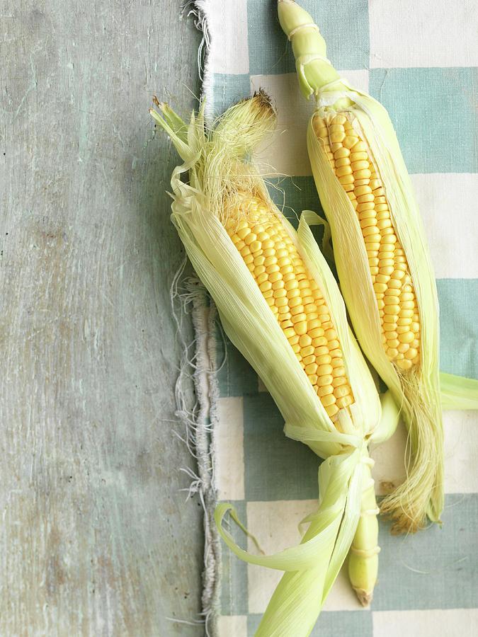Corn On The Cob Photograph by Jonathan Gregson