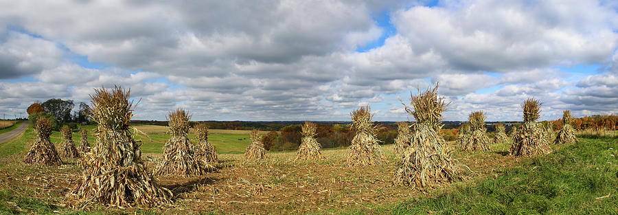 Farm Photograph - Corn Shocks Panoramic by Brook Burling