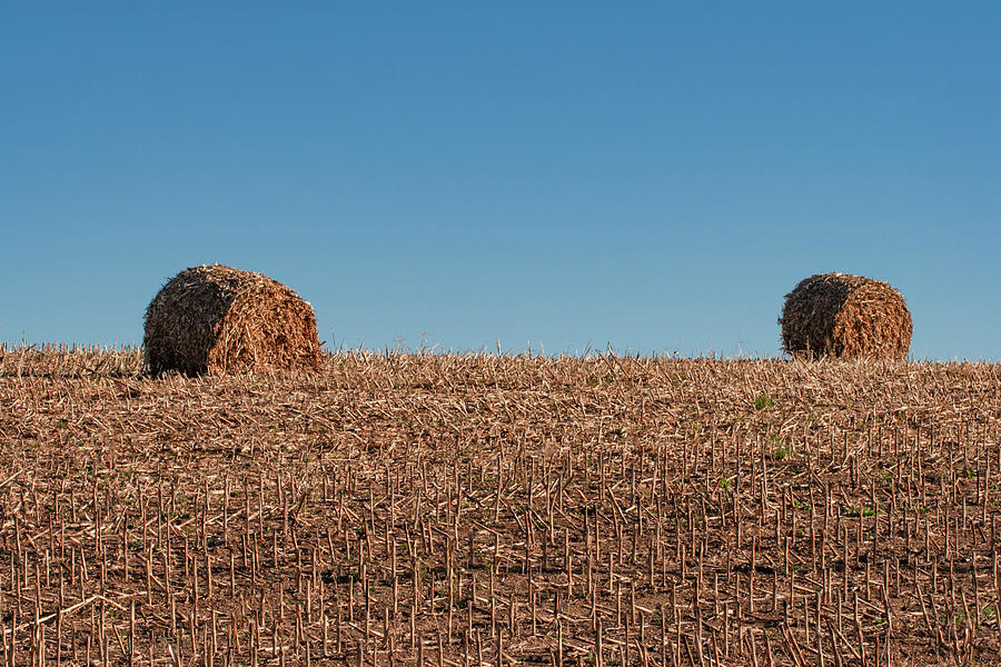 Corn Stalk Bales Photograph by Todd Klassy