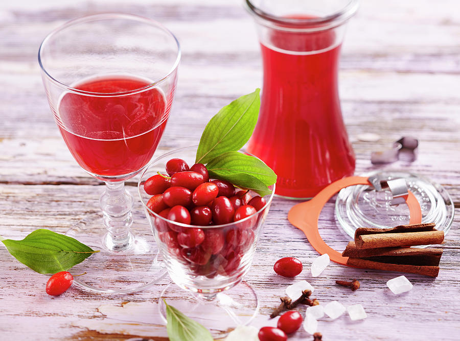 Cornelian Cherry Liqueur With Cinnamon And Cloves Photograph by Teubner Foodfoto