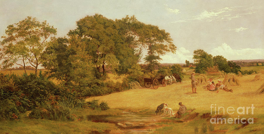 Cornfield in Essex, 1875  Painting by Francis M Trappes