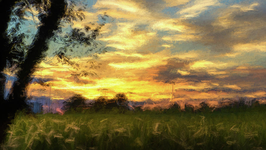 Cornfield Sunset by Jason Fink Cornfield Sunset by Jason Fink